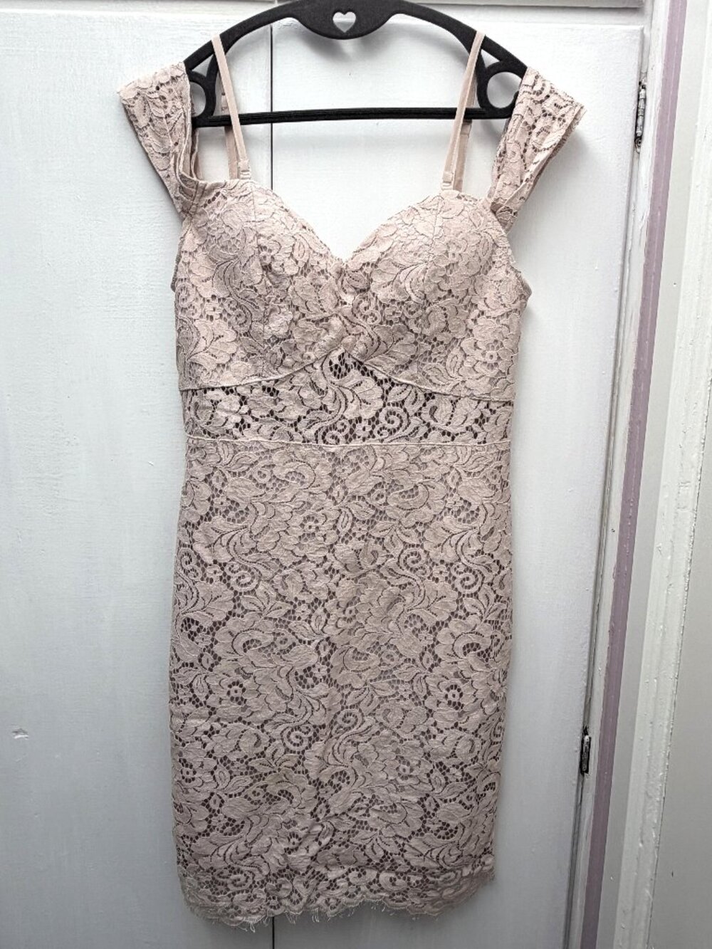 Soieblu Blush Lace Cold Shoulder Sheath Dress Size M